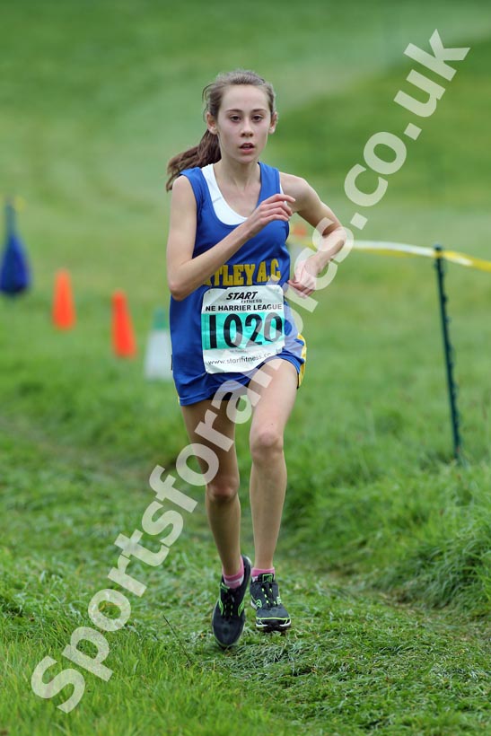 Greens 1120, North-East Harriers League, Cramlington